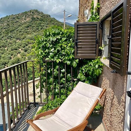 Studio Terrasse Vue Mer Clim Wifi Parking Partinello Ngoại thất bức ảnh